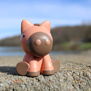 Photography at Northmoreland Park