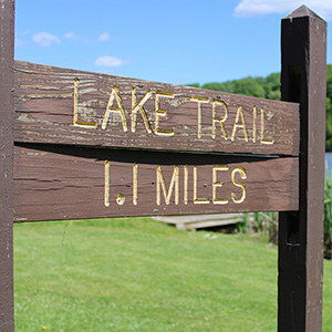 Photography at Northmoreland Park