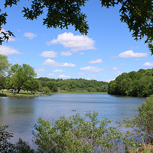Photography at Northmoreland Park